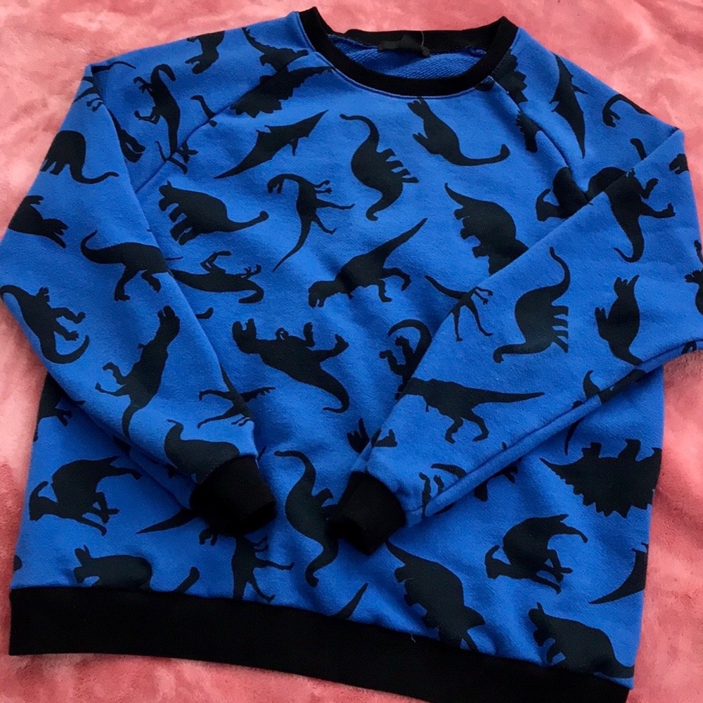 Dinosaur Sweatshirt 🦕